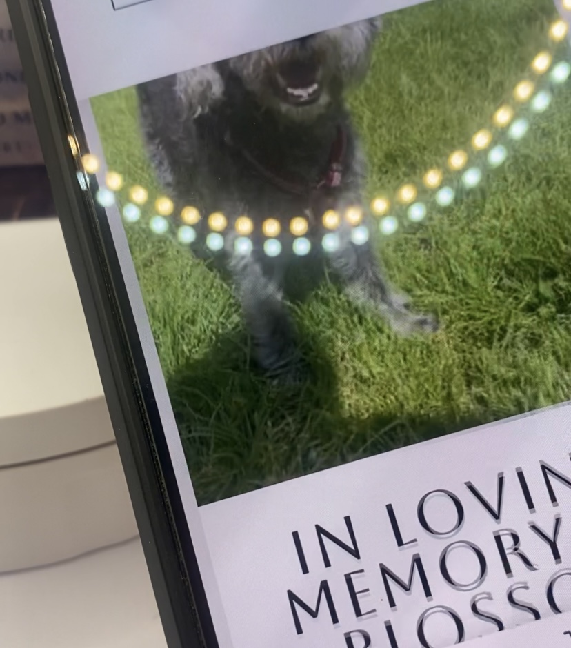 Pet Memorial Tribute Page, Tesoramore 